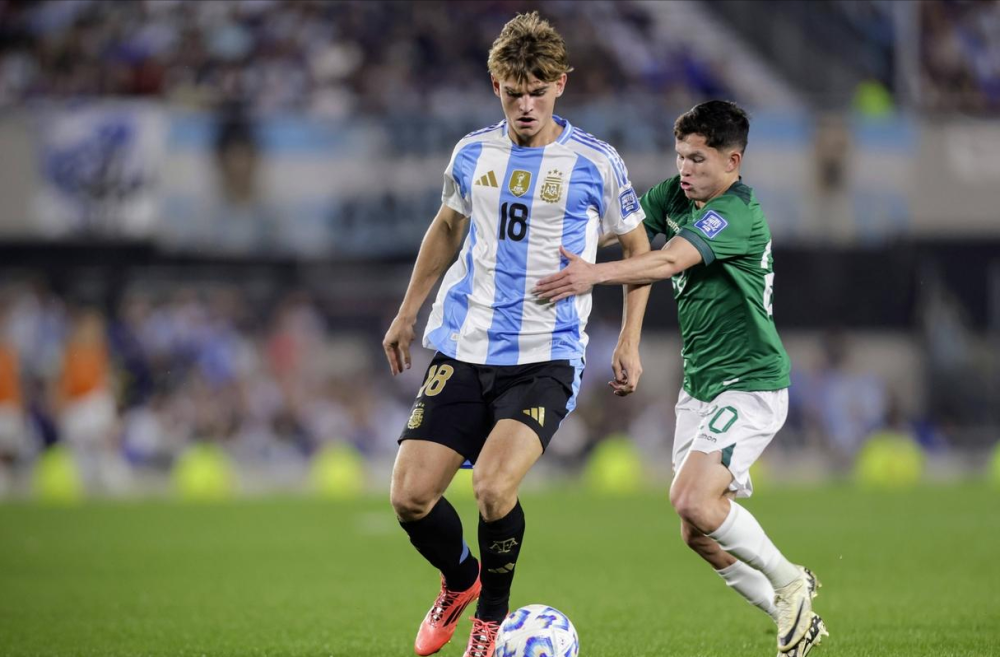 他们不仅是 他们不仅是