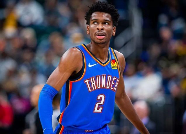 近年来在美 近年来在美